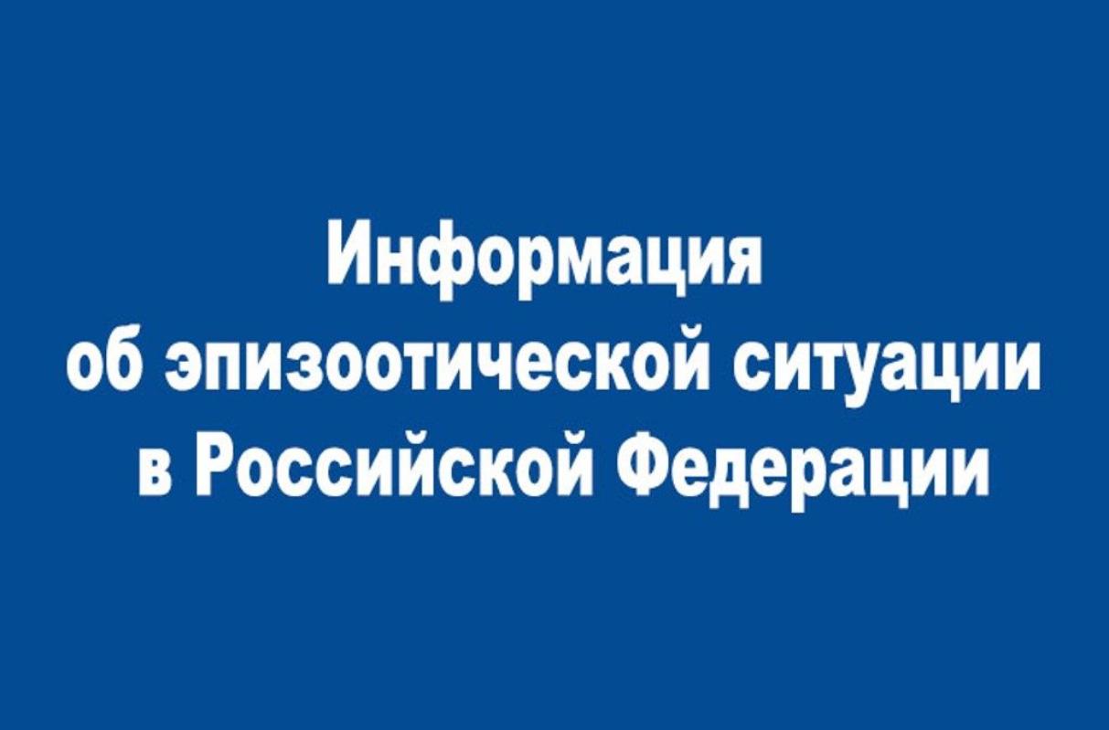 Обострение эпизоотической ситуации в Российской Федерации.